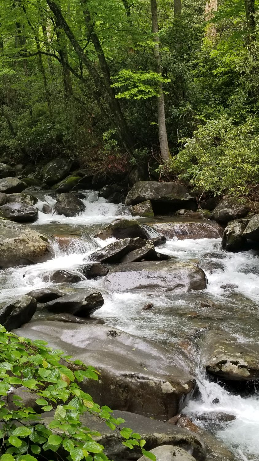 Porters Creek to Fern Falls 